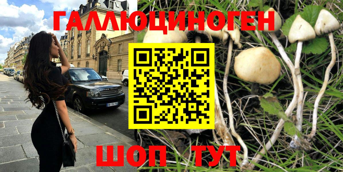 Галлюциногенные грибы мицелий Лесозаводск