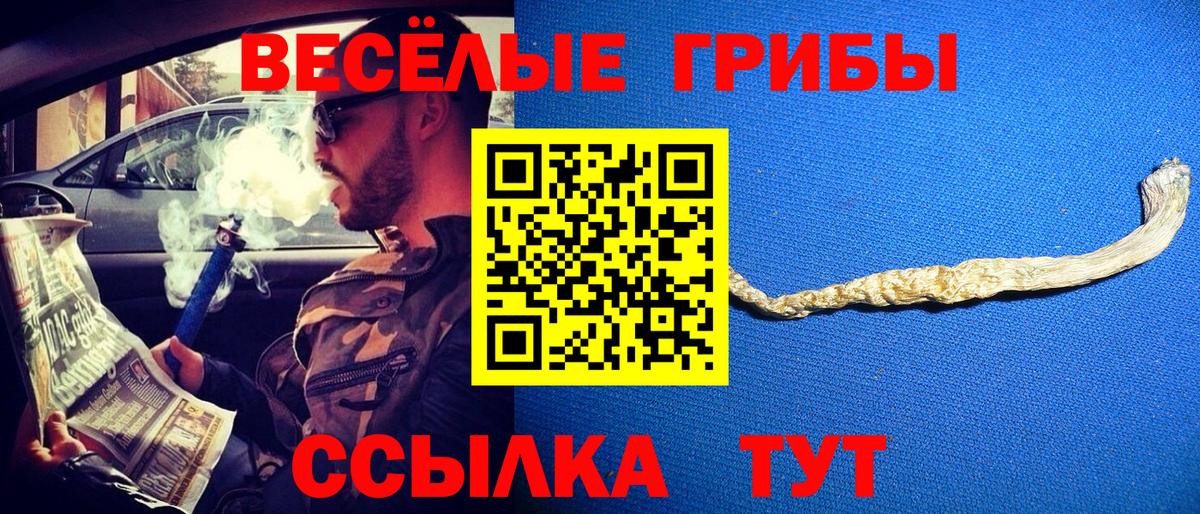 как найти   Вход с VPN  Лесозаводск  Галлюциногенные грибы Psilocybine cubensis 